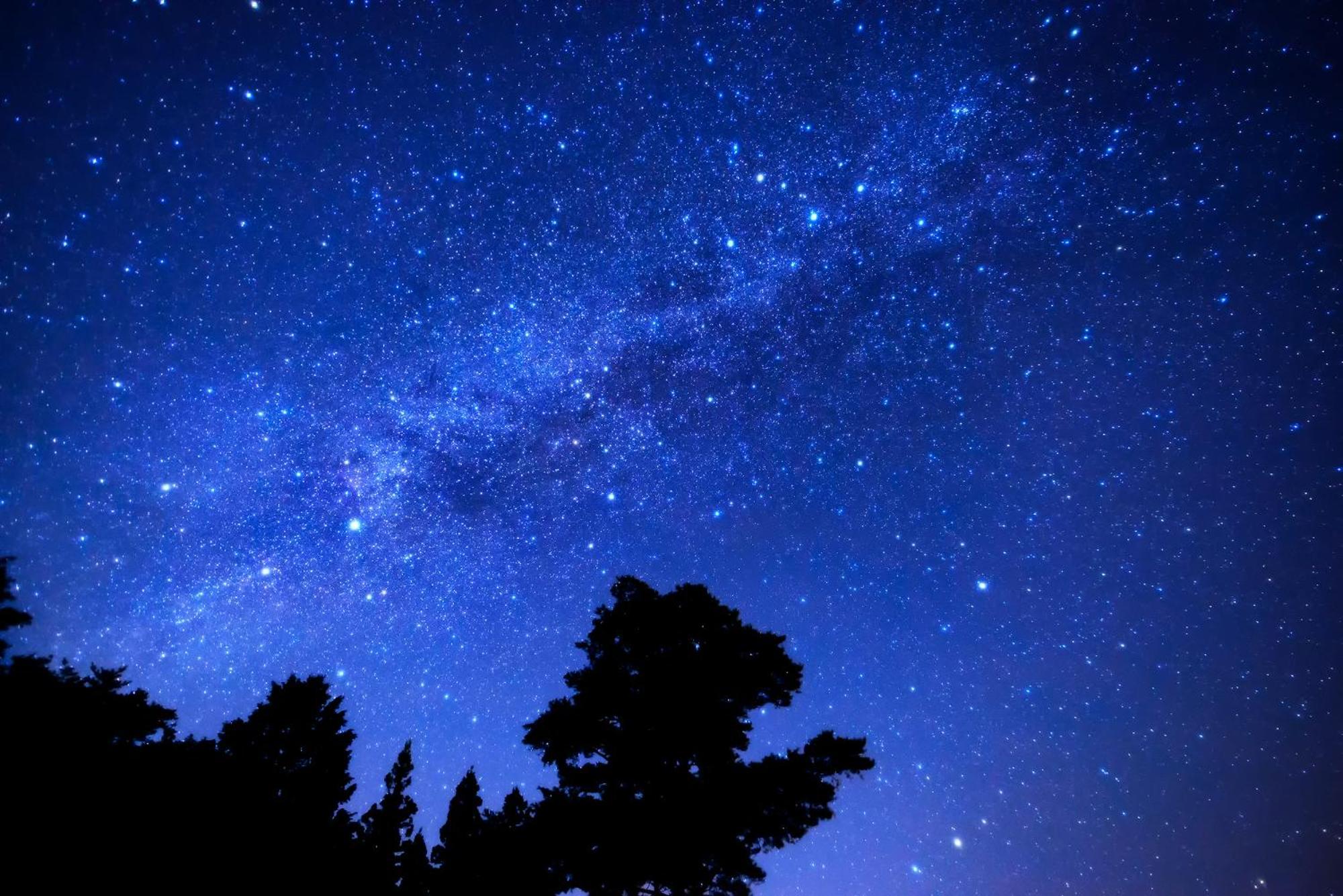 梅の屋リゾート　松川館 高山村 エクステリア 写真