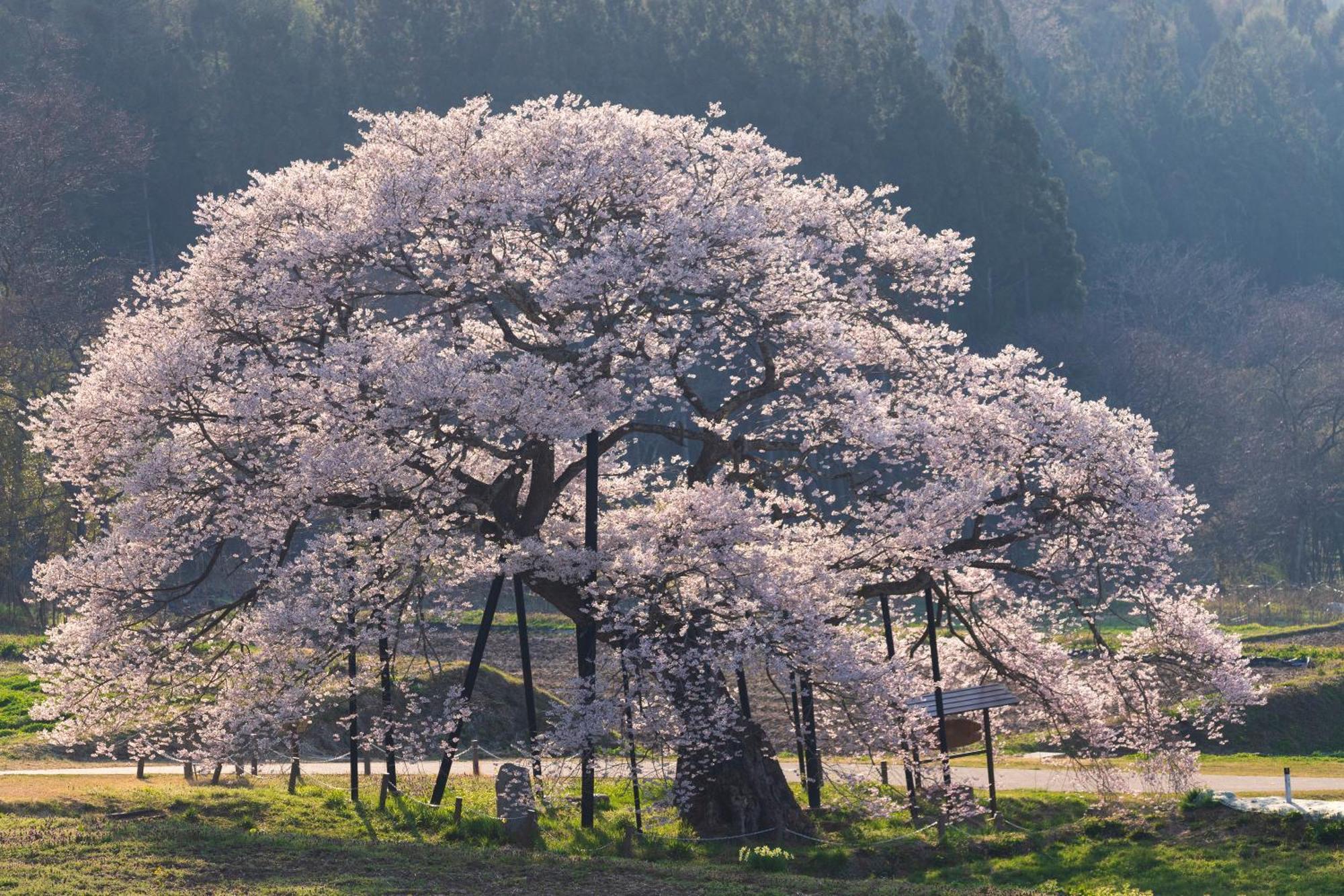梅の屋リゾート　松川館 高山村 エクステリア 写真